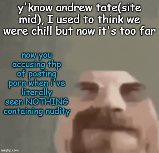 wth man | now you accusing thp of posting porn when i've literally seen NOTHING containing nudity; y'know andrew tate(site mid), I used to think we were chill but now it's too far | image tagged in heisenburger | made w/ Imgflip meme maker