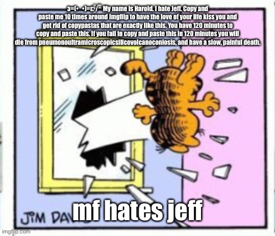 Garfield gets thrown out of a window | з=(•_•)=ε/̵͇̿̿/'̿'̿ My name is Harold. I hate Jeff. Copy and paste me 10 times around Imgflip to have the love of your life kiss you and get rid of copypastas that are exactly like this. You have 120 minutes to copy and paste this. If you fail to copy and paste this in 120 minutes you will die from pneumonoultramicroscopicsilicovolcanoconiosis, and have a slow, painful death. mf hates jeff | image tagged in garfield gets thrown out of a window | made w/ Imgflip meme maker