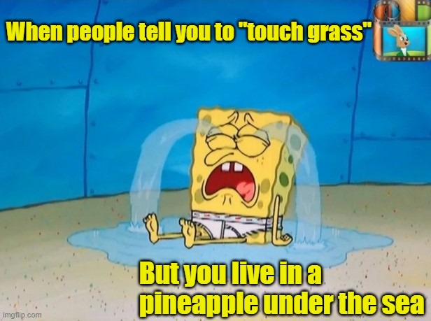 don't tell me to touch grass damnit | When people tell you to "touch grass"; But you live in a pineapple under the sea | image tagged in spongebob | made w/ Imgflip meme maker
