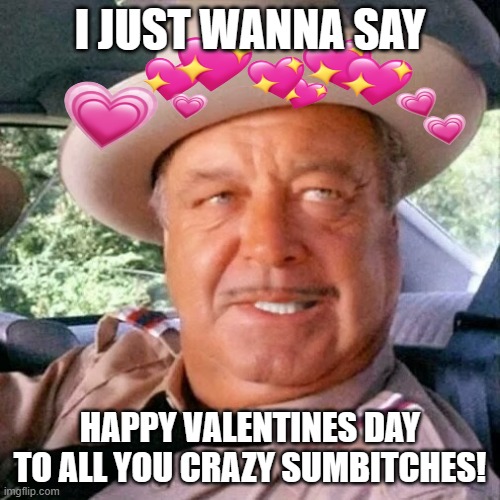 Buford Valentine | I JUST WANNA SAY; HAPPY VALENTINES DAY TO ALL YOU CRAZY SUMBITCHES! | image tagged in sheriff buford t justice you sum bitch | made w/ Imgflip meme maker