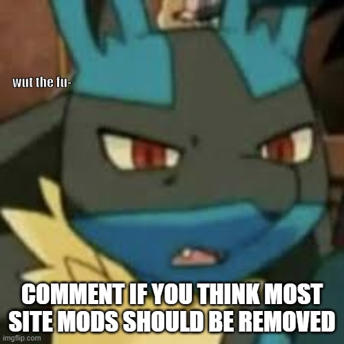 yes | COMMENT IF YOU THINK MOST SITE MODS SHOULD BE REMOVED | image tagged in lucario wtf | made w/ Imgflip meme maker