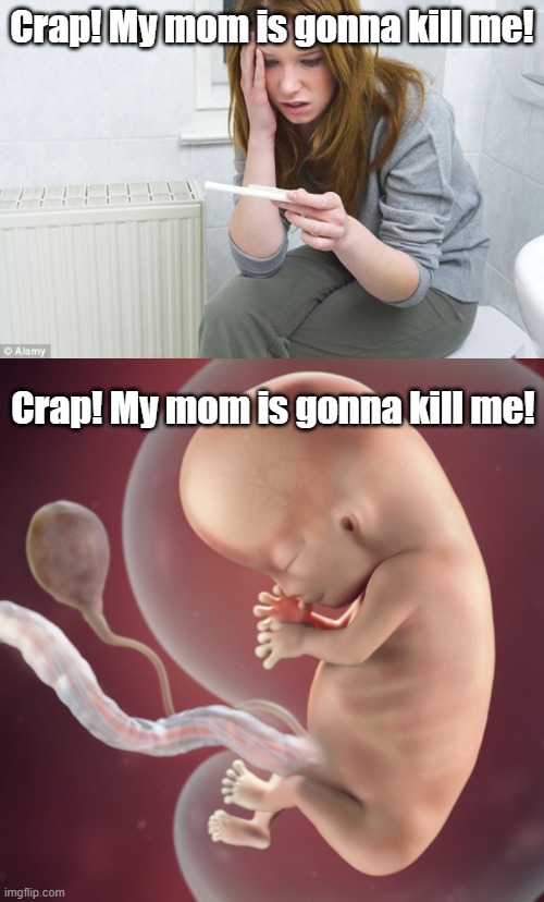 If you get it, you get it. | Crap! My mom is gonna kill me! Crap! My mom is gonna kill me! | image tagged in pregnancy test,10 week fetus | made w/ Imgflip meme maker