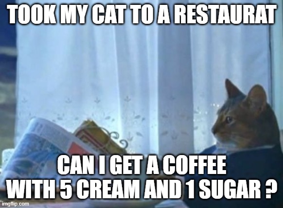 I Should Buy A Boat Cat Meme | TOOK MY CAT TO A RESTAURAT; CAN I GET A COFFEE WITH 5 CREAM AND 1 SUGAR ? | image tagged in memes,i should buy a boat cat | made w/ Imgflip meme maker