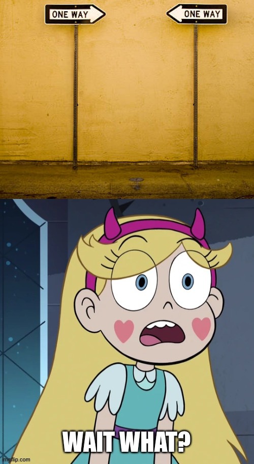 What??? | image tagged in star butterfly wait what,star vs the forces of evil,memes,confusing,what,funny | made w/ Imgflip meme maker