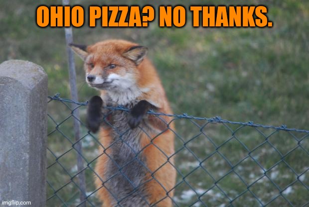 Foxes do not like Ohio. That is a fox fact | OHIO PIZZA? NO THANKS. | image tagged in fox wanna buy,fox,ohio,pizza | made w/ Imgflip meme maker