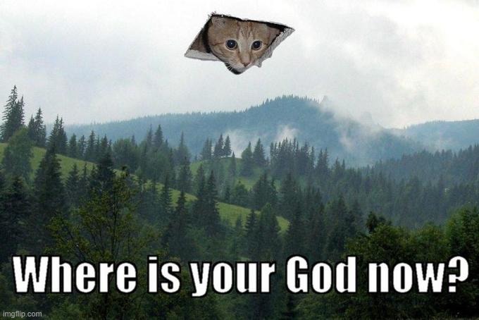 found it :D | image tagged in ceiling cat sky | made w/ Imgflip meme maker