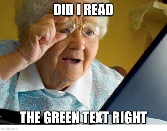 old lady at computer | DID I READ THE GREEN TEXT RIGHT | image tagged in old lady at computer | made w/ Imgflip meme maker