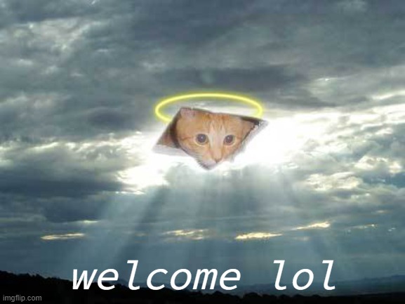 ceiling cat in the clouds | welcome lol | image tagged in ceiling cat in the clouds | made w/ Imgflip meme maker