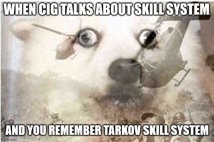 Vietnam dog | WHEN CIG TALKS ABOUT SKILL SYSTEM; AND YOU REMEMBER TARKOV SKILL SYSTEM | image tagged in vietnam dog | made w/ Imgflip meme maker