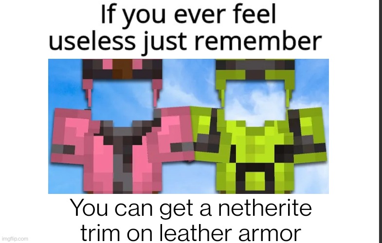 Yep, that's a thing. | You can get a netherite trim on leather armor | made w/ Imgflip meme maker