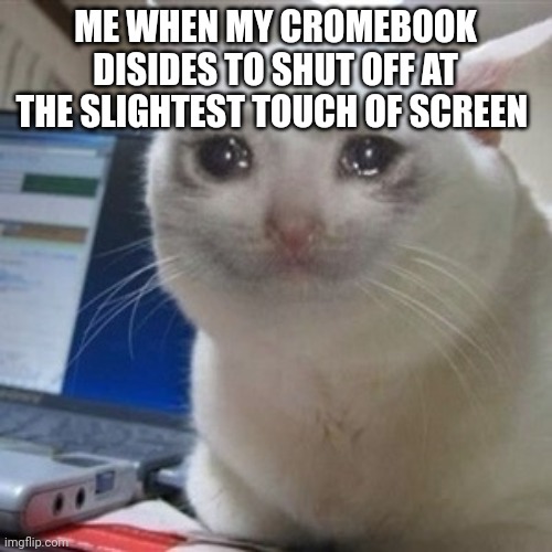 I just want to do my homework man TmT | ME WHEN MY CROMEBOOK DISIDES TO SHUT OFF AT THE SLIGHTEST TOUCH OF SCREEN | image tagged in crying cat | made w/ Imgflip meme maker