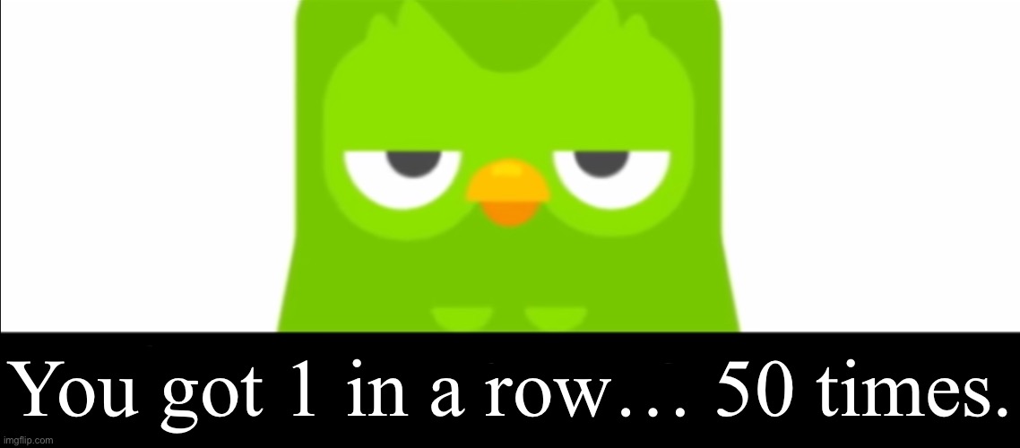 Unimpressed Duo | You got 1 in a row… 50 times. | image tagged in duolingo was unimpressed | made w/ Imgflip meme maker