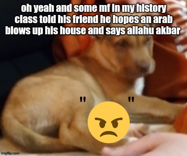 e | oh yeah and some mf in my history class told his friend he hopes an arab blows up his house and says allahu akbar | image tagged in ty pogchamp | made w/ Imgflip meme maker