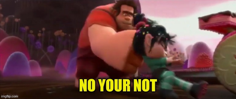 no your not | image tagged in no your not | made w/ Imgflip meme maker