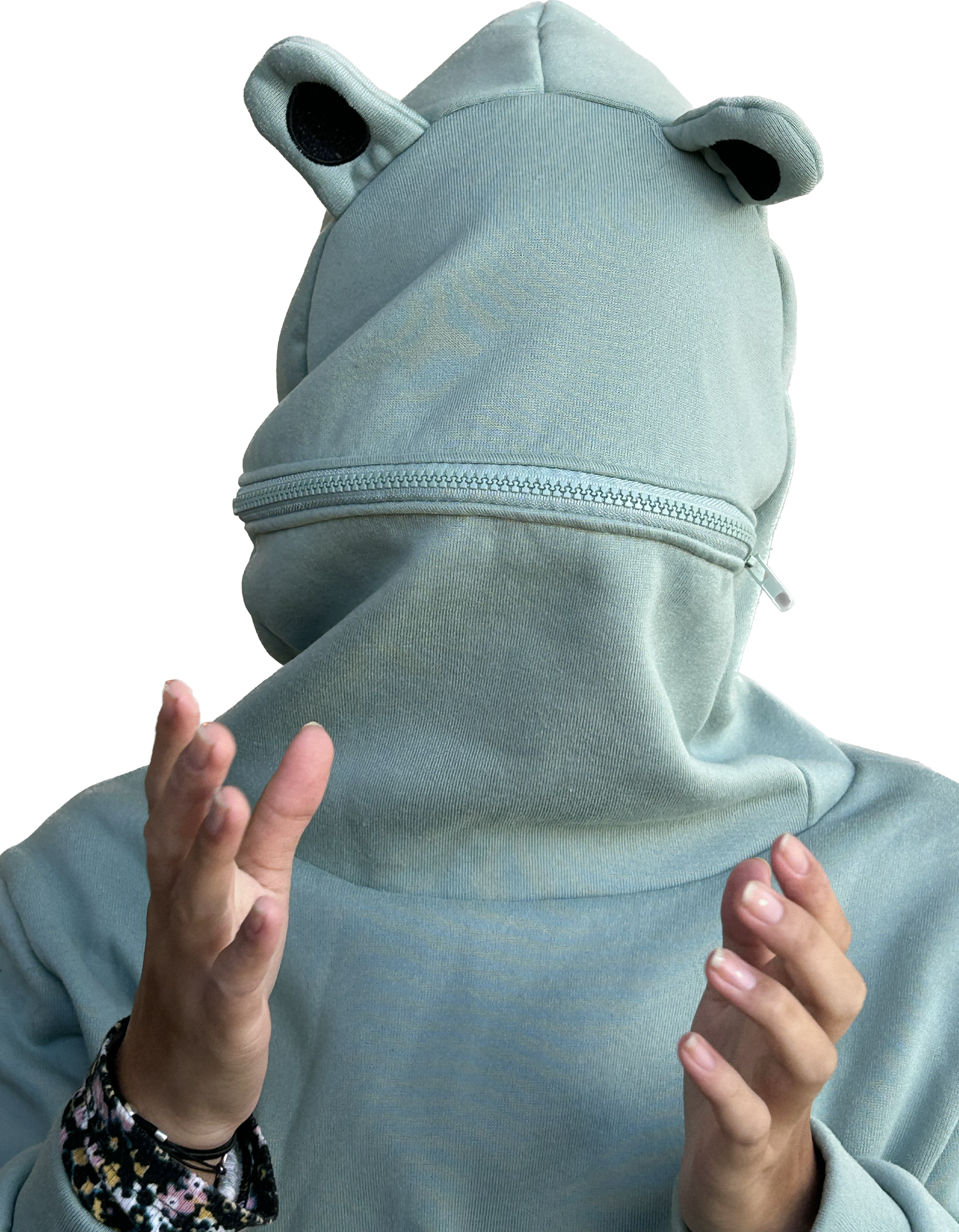 Here me out Blank Meme Template