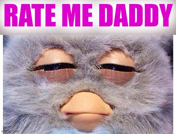 Grade me Teacher | RATE ME DADDY | image tagged in grade me teacher | made w/ Imgflip meme maker