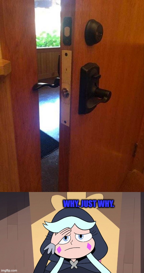 Why........... | WHY. JUST WHY. | image tagged in star vs the forces of evil,you had one job,design fails,memes,failure,door | made w/ Imgflip meme maker