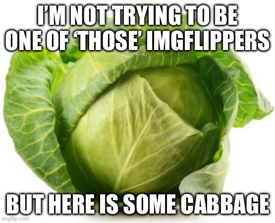 I’m going to regret posting this | I’M NOT TRYING TO BE ONE OF ‘THOSE’ IMGFLIPPERS; BUT HERE IS SOME CABBAGE | image tagged in cabbage | made w/ Imgflip meme maker