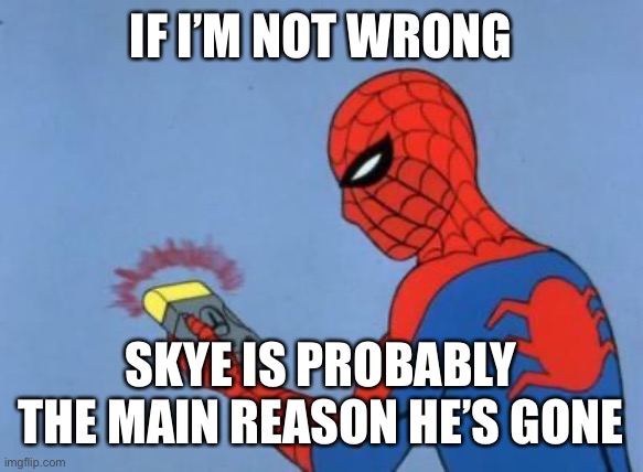 spiderman detector | IF I’M NOT WRONG SKYE IS PROBABLY THE MAIN REASON HE’S GONE | image tagged in spiderman detector | made w/ Imgflip meme maker