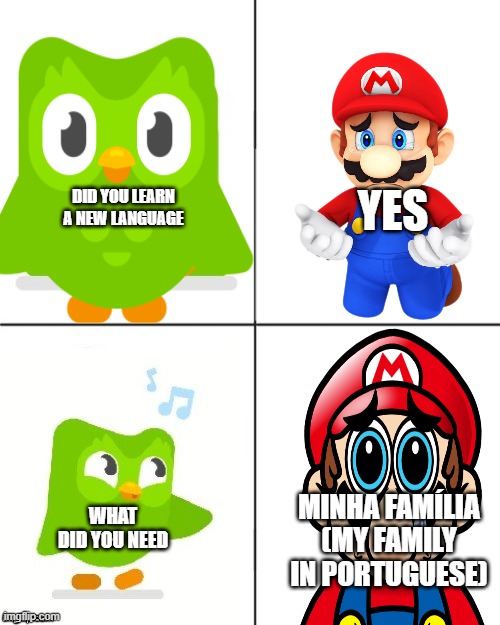 i still want my family back |  YES; DID YOU LEARN A NEW LANGUAGE; MINHA FAMÍLIA (MY FAMILY IN PORTUGUESE); WHAT DID YOU NEED | image tagged in bird | made w/ Imgflip meme maker