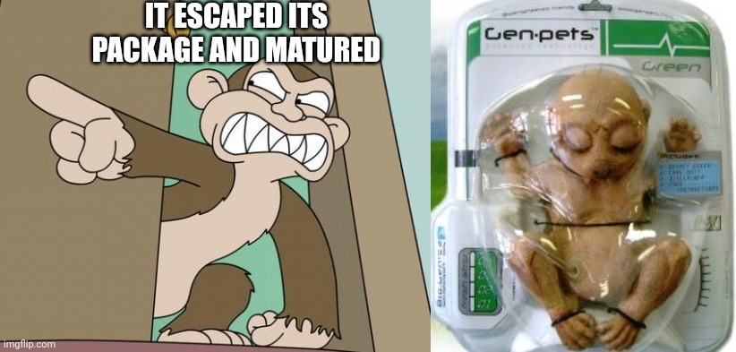 Monkey | IT ESCAPED ITS PACKAGE AND MATURED | image tagged in evil monkey,genpet | made w/ Imgflip meme maker
