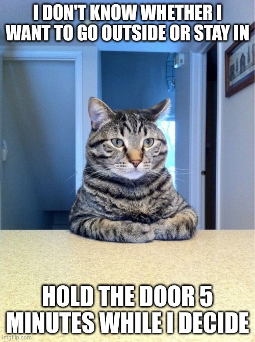 Take A Seat Cat Meme | I DON'T KNOW WHETHER I WANT TO GO OUTSIDE OR STAY IN; HOLD THE DOOR 5 MINUTES WHILE I DECIDE | image tagged in memes,take a seat cat | made w/ Imgflip meme maker