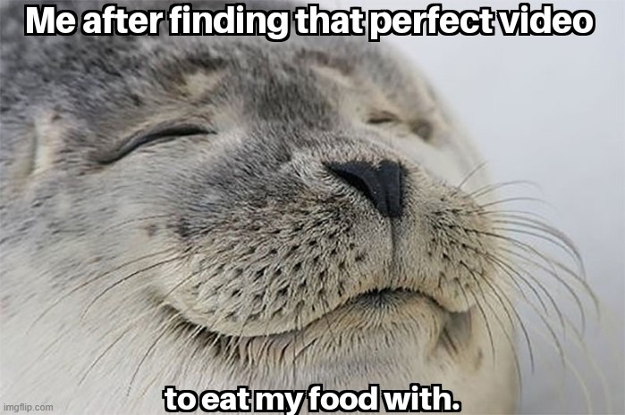 image tagged in wholesome,satisfied seal,memes,funny,wholesome content,relatable memes | made w/ Imgflip meme maker
