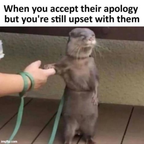 image tagged in memes,apology,funny,relatable memes,me irl,repost | made w/ Imgflip meme maker