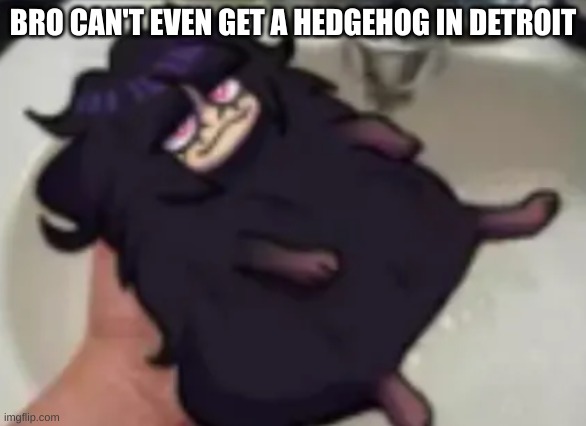 hehe | BRO CAN'T EVEN GET A HEDGEHOG IN DETROIT | image tagged in memes,needlemouse,hedgehog | made w/ Imgflip meme maker