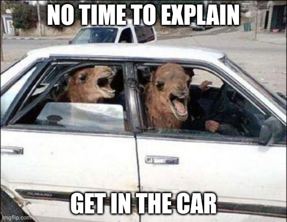 Quit Hatin | NO TIME TO EXPLAIN; GET IN THE CAR | image tagged in memes,quit hatin | made w/ Imgflip meme maker