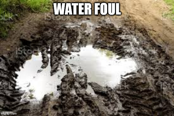 foul | WATER FOUL | image tagged in foul | made w/ Imgflip meme maker