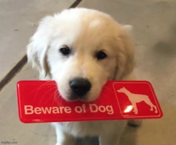 "Beware of Dog" | image tagged in dog,beware,wholesome | made w/ Imgflip meme maker