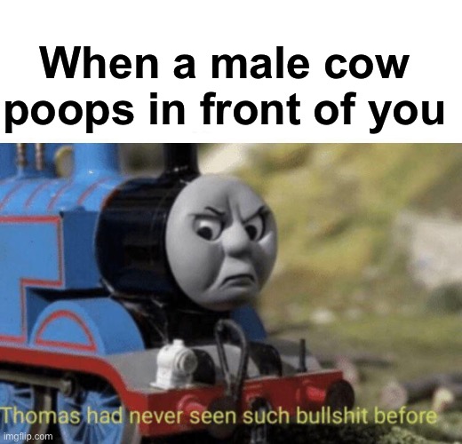 Thomas had never seen such bullshit before | When a male cow poops in front of you | image tagged in thomas had never seen such bullshit before | made w/ Imgflip meme maker