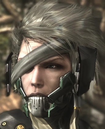 High Quality Raiden Blank Meme Template