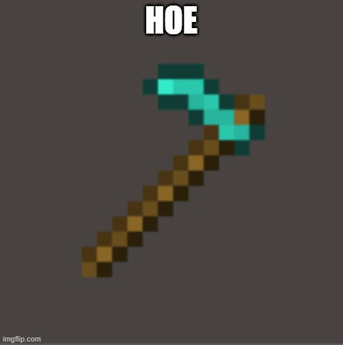 Minecraft Diamond Hoe | HOE | image tagged in minecraft diamond hoe | made w/ Imgflip meme maker