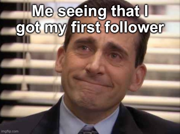 wholesome | Me seeing that I got my first follower | image tagged in wholesome | made w/ Imgflip meme maker