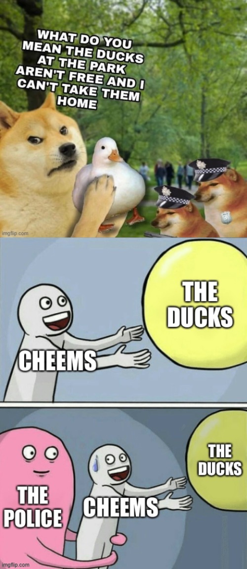 Old memes I had made Imgflip