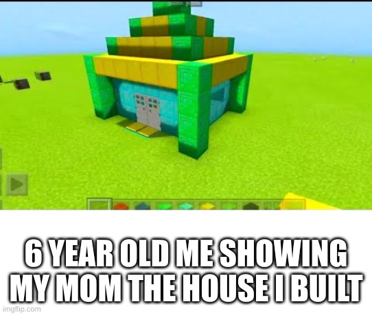 {Its so true} | 6 YEAR OLD ME SHOWING MY MOM THE HOUSE I BUILT | image tagged in memes,funny,minecraft | made w/ Imgflip meme maker