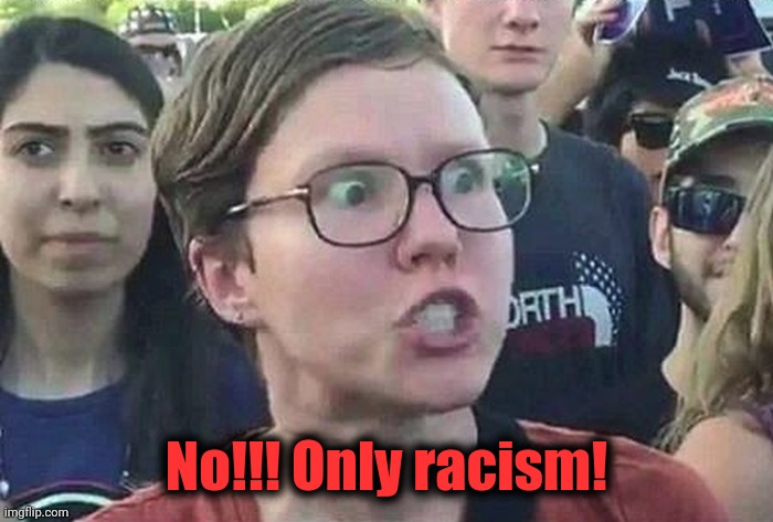 Triggered Liberal | No!!! Only racism! | image tagged in triggered liberal | made w/ Imgflip meme maker