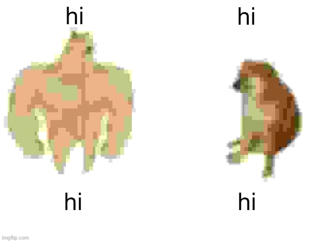 hi hi hi hi | image tagged in memes,buff doge vs cheems | made w/ Imgflip meme maker