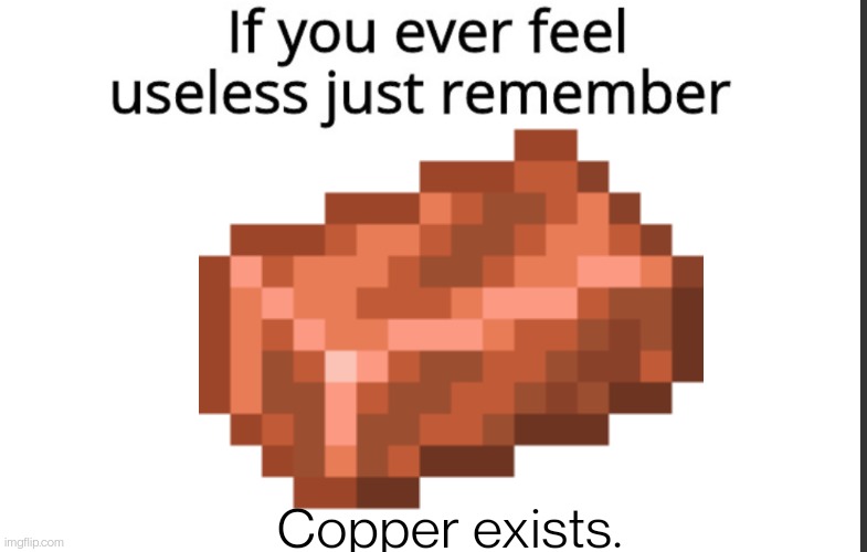 Building. that's all it's good for. Sure the allay is good but at least the copper golem would've given it a use | Copper exists. | made w/ Imgflip meme maker