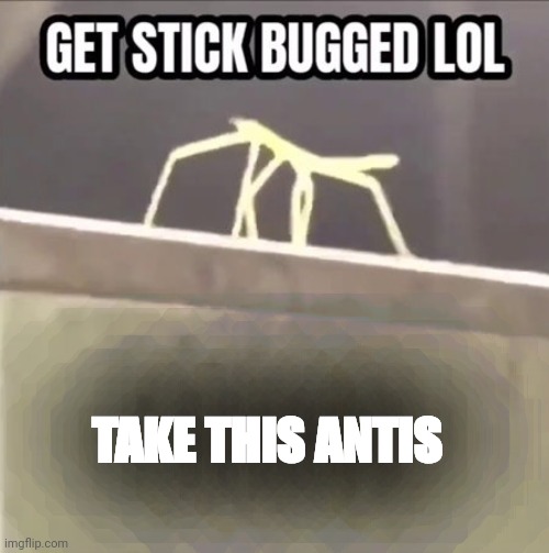 Get stick bugged lol | TAKE THIS ANTIS | image tagged in get stick bugged lol | made w/ Imgflip meme maker