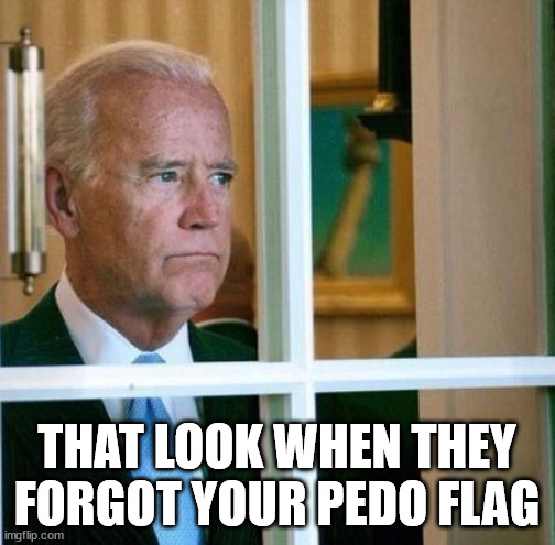 Sad Joe Biden | THAT LOOK WHEN THEY FORGOT YOUR PEDO FLAG | image tagged in sad joe biden | made w/ Imgflip meme maker