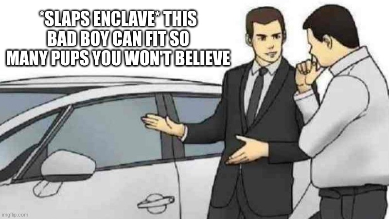 Car Salesman Slaps Roof Of Car Meme | *SLAPS ENCLAVE* THIS BAD BOY CAN FIT SO MANY PUPS YOU WON'T BELIEVE | image tagged in memes,car salesman slaps roof of car | made w/ Imgflip meme maker
