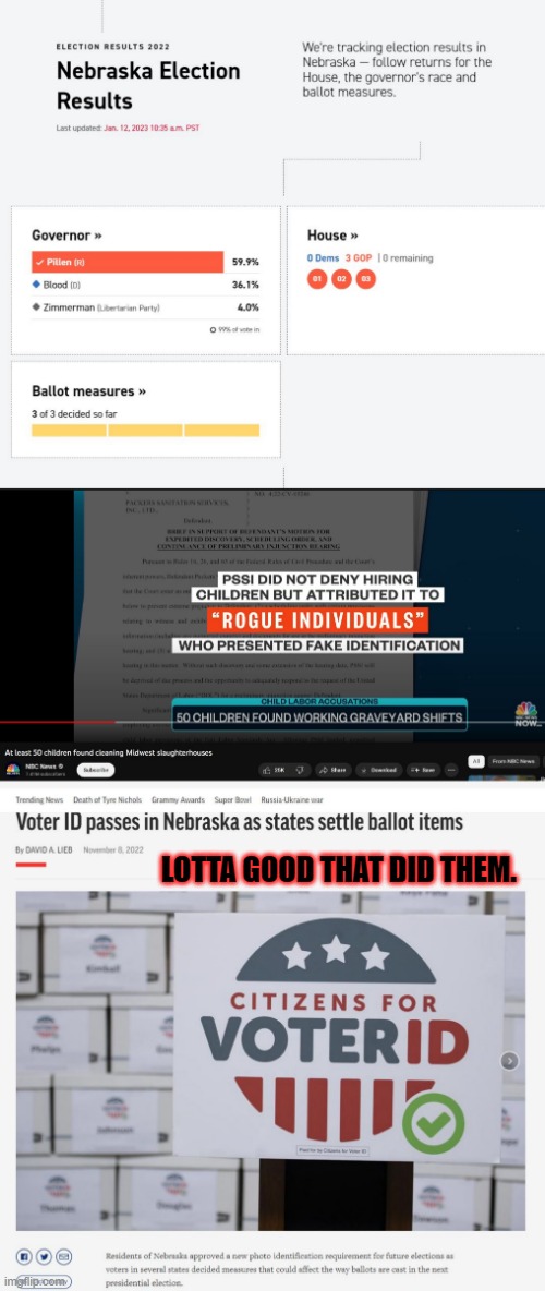 Republicans have been using illegal workers to pump votes for their favor. | LOTTA GOOD THAT DID THEM. | image tagged in voter id,voter fraud,illegal voters,republicans | made w/ Imgflip meme maker