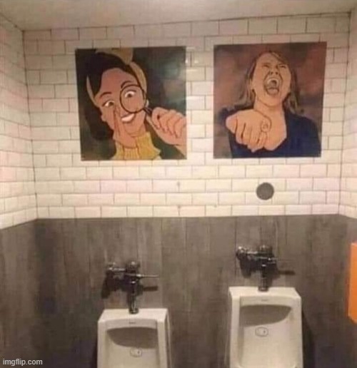 I'm not sure if this is a bad bathroom design or funny bathroom design | image tagged in you had one job | made w/ Imgflip meme maker