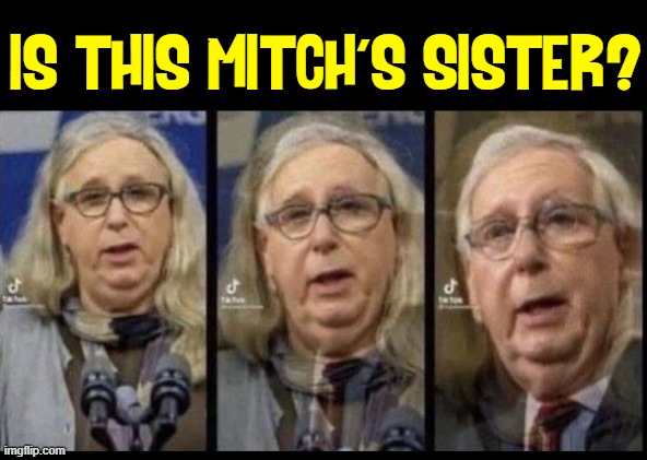 Once upon a time you could tell jokes publicly! |  IS THIS MITCH'S SISTER? | image tagged in vince vance,rachel levine,mitch mcconnell,granny,tranny,memes | made w/ Imgflip meme maker