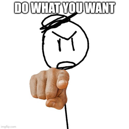 DO WHAT YOU WANT | made w/ Imgflip meme maker