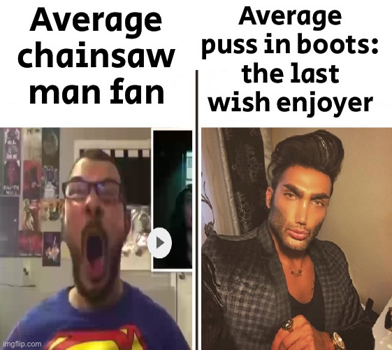 Average Fan vs Average Enjoyer | Average chainsaw man fan; Average puss in boots: the last wish enjoyer | image tagged in average fan vs average enjoyer | made w/ Imgflip meme maker