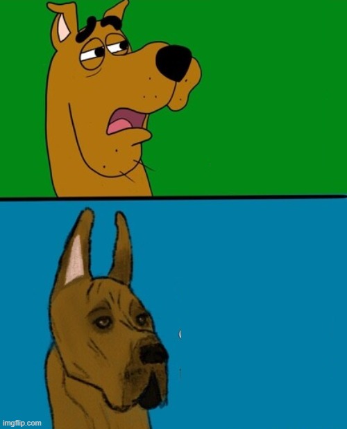 High Quality 2 scooby doo Blank Meme Template